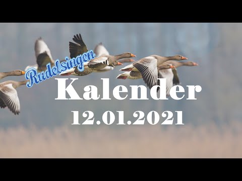 Der Mitsing - Kalender am 12.01.2021  - Tag 12