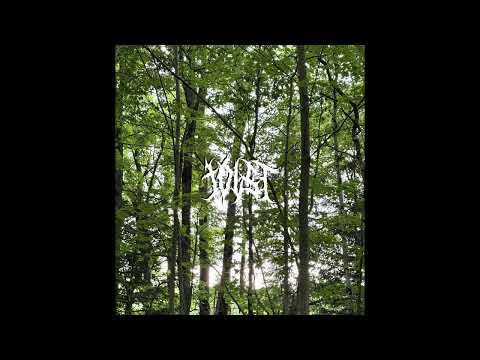 [FREE] nothing nowhere, ppgcasper, fats'e, midwest emo type beat | "blissful"