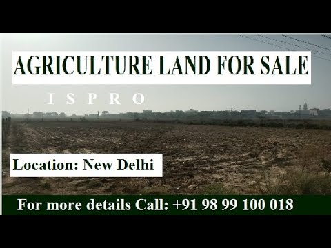  2000 Sq. Yards Agricultural/Farm Land for Sale in Dhansa, Delhi