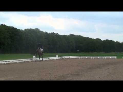 2006/Rubin Royal/Likotoxx