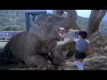 Goons Mix Intoxication Drugs In Elephant Food Jayasimha Kannada Movie Scene Dr Vishnuvardhan