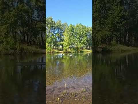 Plottier Patagonia Argentina Barrio Verde Limay....a 9 km de Neuquén capital