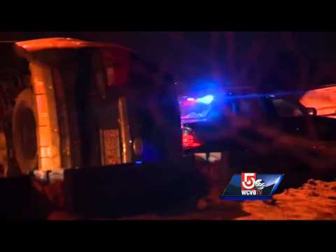 Wild crash under investigation