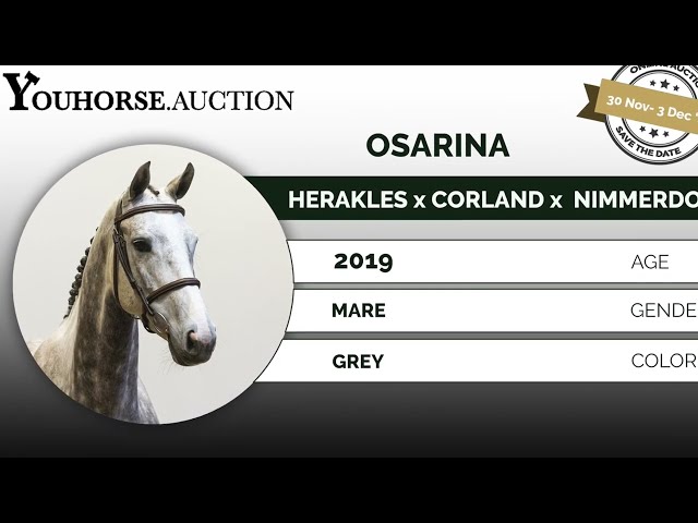 Osarina trainingsvideo