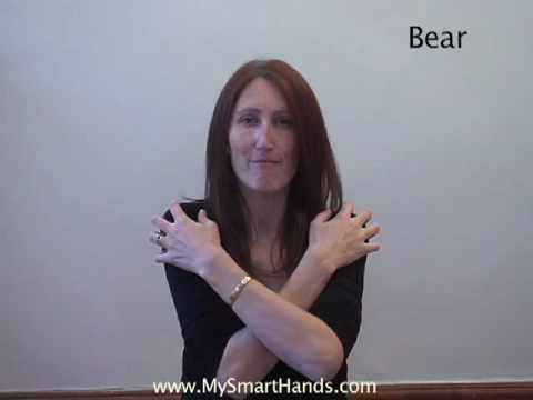 bear - ASL sign for bear