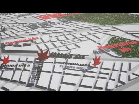 1956 Katonai története