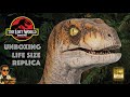 2000 Jurassic Park Raptor Bust UNBOXING Is It Worth It Elite Creature Collectibles