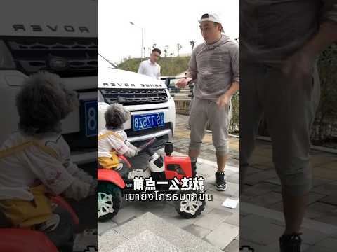 สุนัขตัวนี้เป็นคนดีจริงๆ 👏