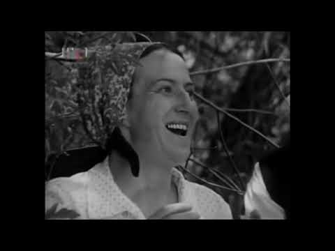 Mejaši E03 - Parade Mora Biti