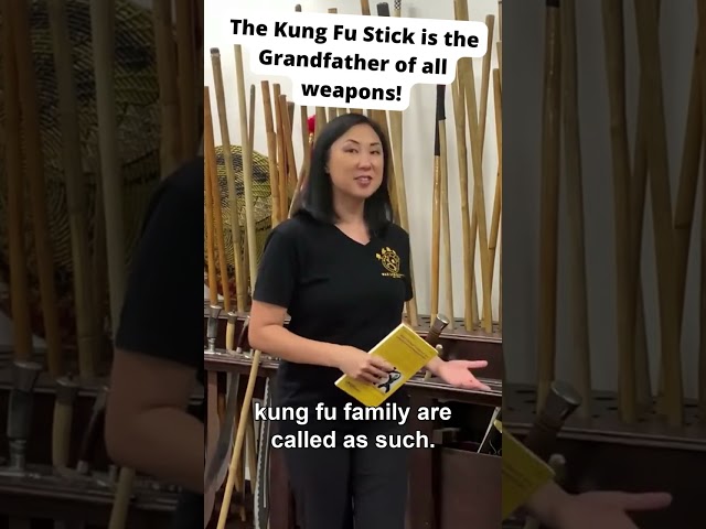 Vídeo relacionado con WAH LUM KUNG FU of USA * HISTORY of KUNG FU STYLES * THEORY & PHILOSOPHY * WEAPONS * CHINESE MEDICINE: A compilation of basic knowledge essential to the art of Wah Lum Kung Fu (English Edition)