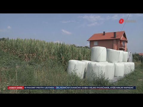 Istraga sedmice: Suša i štete u poljoprivredi