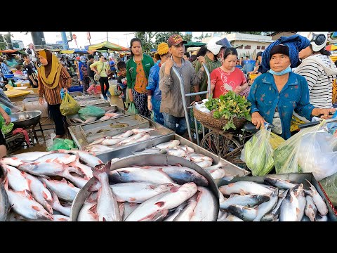 Most Popular Cambodian Wholesale Fish Distribution Site In The City - Fish Market Scenes