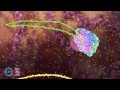 RNA Splicing