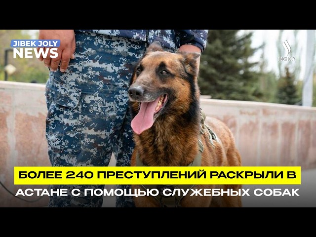Четвероногие напарники