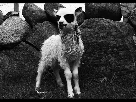 El sueño de una fábrica de verano/Ghetto apóstol - Mr Pig/Manoperro (N.Volya 451 mix)