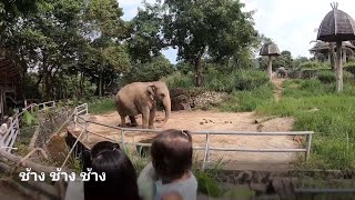 preview picture of video 'Proud at Songkhla Zoo สวนสัตว์สงขลา'