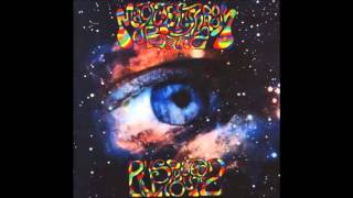 The Magic Mushroom Band - Hubbly Bubbly   (1993)