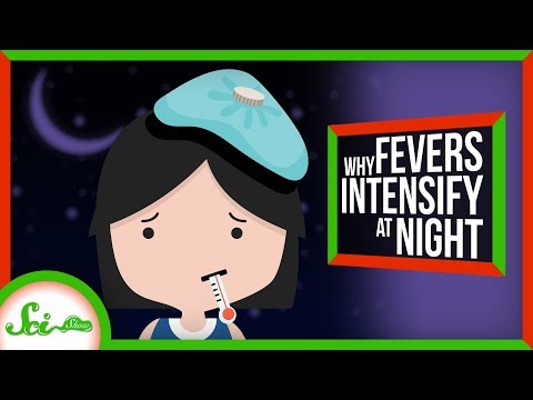 為什麼在晚上發燒會變更糟? (Why Do Fevers Get Worse at Night?)
