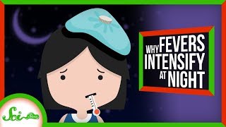 Why Do Fevers Get Worse at Night?