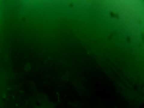 Edithburgh Live by AusOcean 20/06/2023