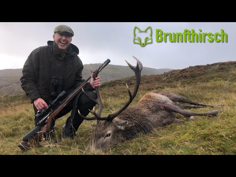 On the rutting stag in the Scottish Highlands