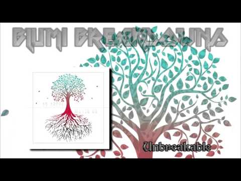 Breaking The Cycle - Unbreakable (2017)