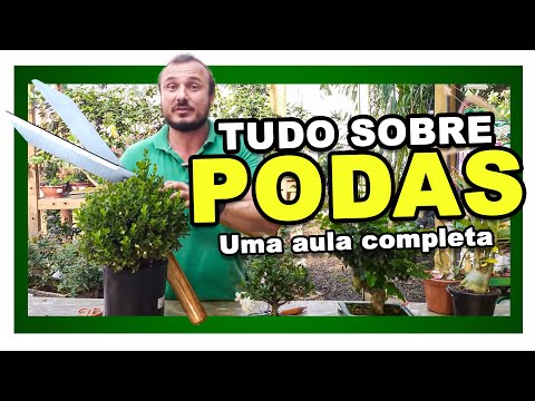 Tudo sobre PODAS | Uma aula completa de podas com Murilo Soares paisagismo