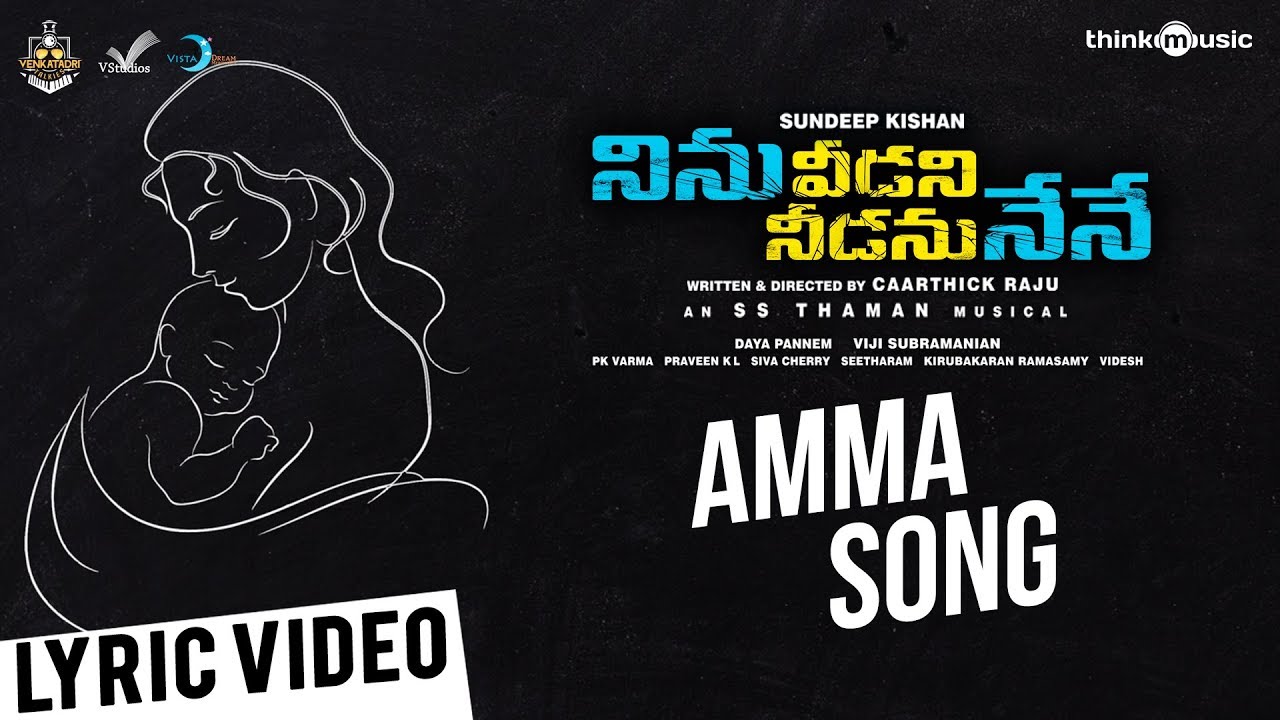 Amma Lyrics  | Ninu Veedani Needanu Nene | Anya Singh | Nandita Jyoti | S.Thaman