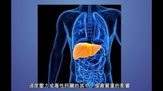 體內環保週