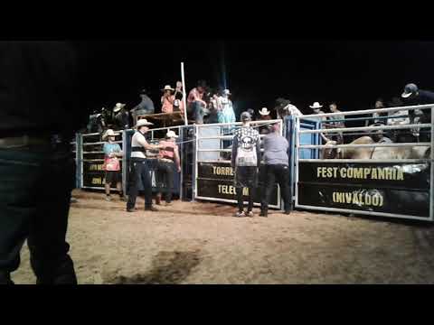 João Miguel Passarelli x Carijó ( Campeão rodeio festival de Palmital sp )