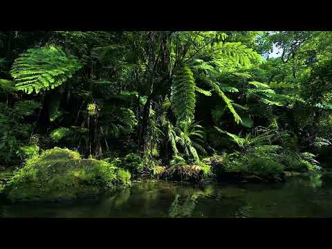 🍃Tropical Plant Music. Soothing💦river sound 10 HOURS at T-River, Japan 🇯🇵沖縄ヤンバル・ター川の植物音楽
