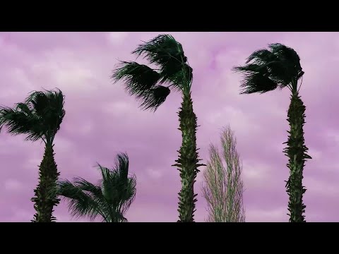 Džijudžicu - Čajanka [feat. Lidia]