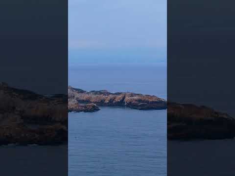 Caleta chome
