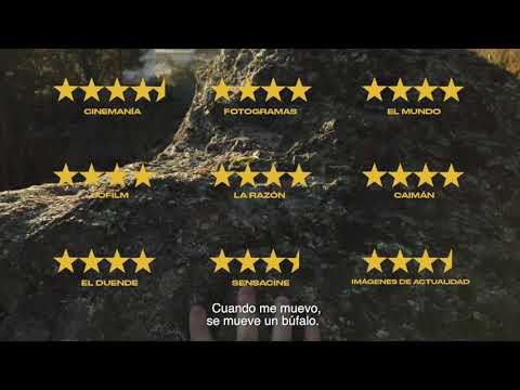 DEAR WERNER - YA EN CINES