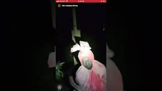 Download lagu TIM TROBOS MITOS LIVE 2023 TEMPAT TERBENGKALAI SOSOK POCONG mp3 Download lagu TIM TROBOS MITOS LIVE 2023 TEMPAT TERBENGKALAI SOSOK POCONG mp3