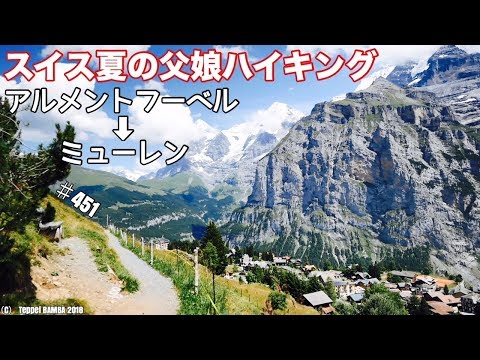 スイスの牧草地 植物