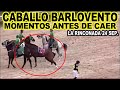 VEA LOS ÚLTIMOS MOMENTOS DEL CABALLO BARLOVENTO,ANTES DE DESPLOMARSE,LA RINCONADA 24 DE SEPTIEMBRE.