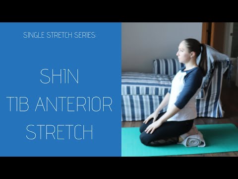 Stretching the Shin - Tibialis Anterior