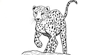 How to Draw a Cheetah Step by Step - Easy Animal Drawing for Beginners