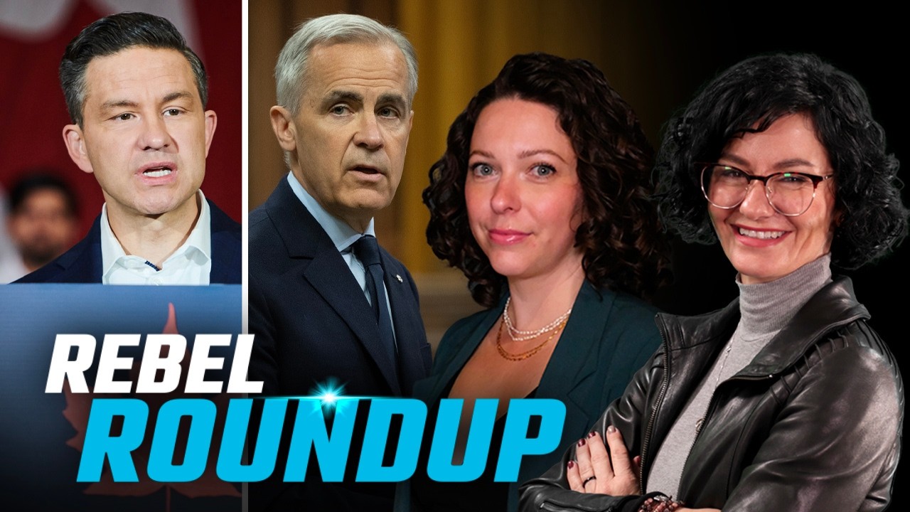 Carney & Ford 'playing politics', Canada matching US tariffs, Poilievre responds | Rebel Roundup