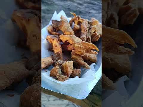 Peixe frito na beira do rio Miranda-MS