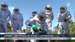 Miniatura do vídeo