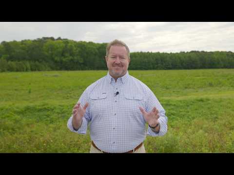 Video of The Landings Community
