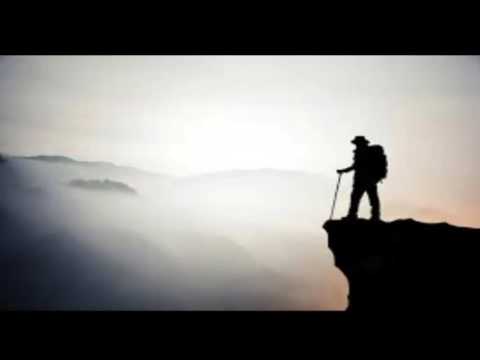 MOXALISE აზრები