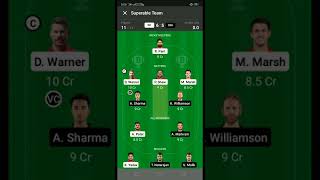 SRH vs DC dream 11 team only for head to head #ipl #cricket #dcvssrh