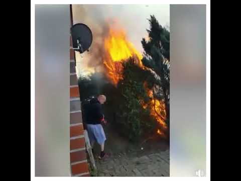 Herr Schmidt vernichtet Unkraut! (extrem lustig)