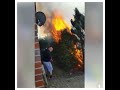 Herr Schmidt Vernichtet Unkraut Extrem Lustig