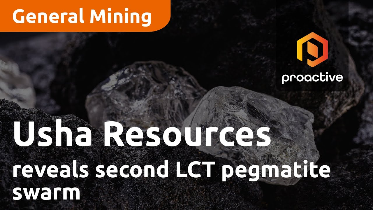 Usha Resources CEO Deepak Varshney reveals second LCT pegmatite swarm at Willow Pegmatite Project
