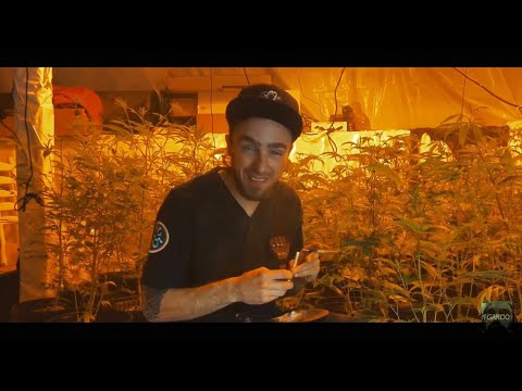 Rufio Pain ft. I Gardo - Santa Planta