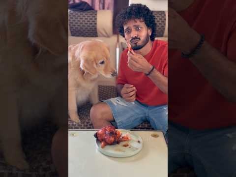 Bro came for snacks, ended up as breakfast! 😂🐔🍗 #goldenretriever #dog #puppies